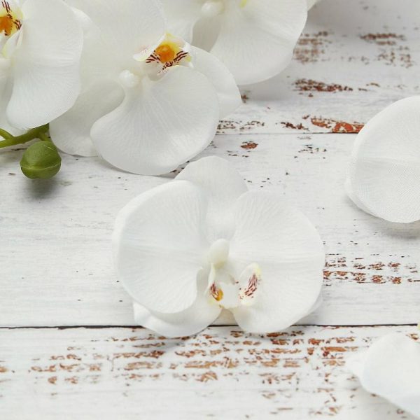 Accent Flowers |   20 Flower Heads 4″ White Artificial Silk Orchids DIY Crafts Accent Flowers Accent Flowers