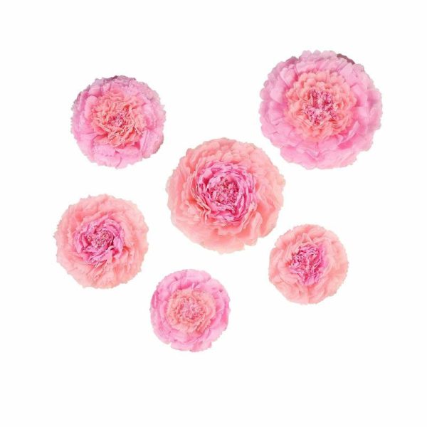 Accent Flowers |   Set of 6 Blush Pink Carnation 3D Paper Flowers Wall Decor – 7″,9″,11″ Accent Flowers Accent Flowers