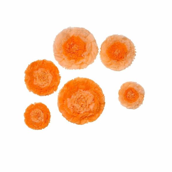 Accent Flowers |   Set of 6 Coral Orange Carnation 3D Paper Flowers Wall Decor – 7″,9″,11″ Accent Flowers Accent Flowers