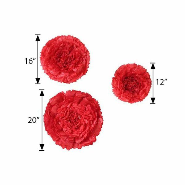 Accent Flowers |   Set of 6 Red Giant Carnation 3D Paper Flowers Wall Decor – 12″,16″,20″ Accent Flowers Accent Flowers