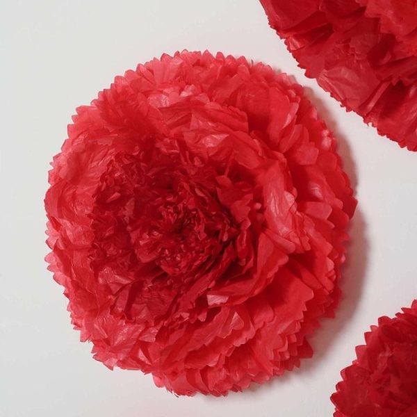 Accent Flowers |   Set of 6 Red Giant Carnation 3D Paper Flowers Wall Decor – 12″,16″,20″ Accent Flowers Accent Flowers