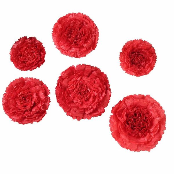 Accent Flowers |   Set of 6 Red Giant Carnation 3D Paper Flowers Wall Decor – 12″,16″,20″ Accent Flowers Accent Flowers