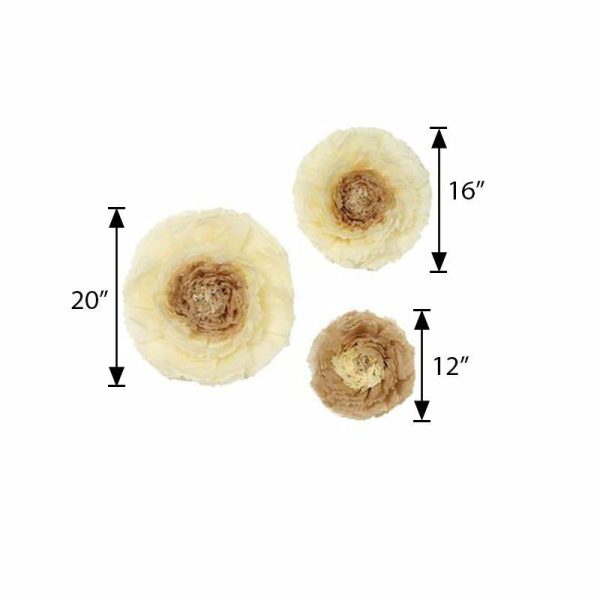 Accent Flowers |   Set of 6 Taupe Natural Giant Carnation 3D Paper Flowers Wall Decor – 12″,16″,20″ Accent Flowers Accent Flowers