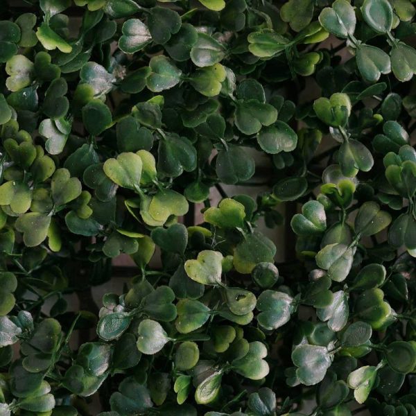 Accent Wall Décor |   11 Sq ft. Dark Green Boxwood Hedge Garden Wall Backdrop Mat – 4 Artificial Panels Accent Wall Décor Accent Wall Décor