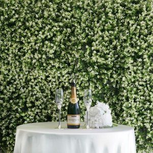 Accent Wall Décor |   11 Sq ft. White Tip Green Boxwood Hedge Genlisea Garden Wall Backdrop Mat – 4 Artificial Panels Accent Wall Décor Accent Wall Décor