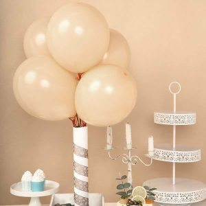 Balloons |   25 Pack 12″ Matte Pastel Peach Helium or Air Latex Party Balloons Balloons Balloons