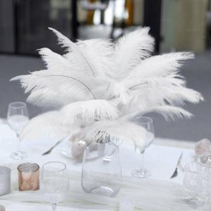 Centerpiece Décor |   12 Pack 13″-15″ White Natural Plume Real Ostrich Feathers, DIY Centerpiece Fillers Centerpiece Décor Centerpiece Décor