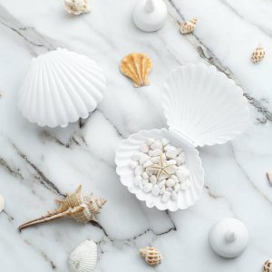 Favor Jars & Containers |   12 Pack 3.5″ White Seashell Treats Jewelry Beach Party Favor Boxes, Sea Shell Mini Candy Container Gift Boxes Favor Jars & Containers Favor Jars & Containers