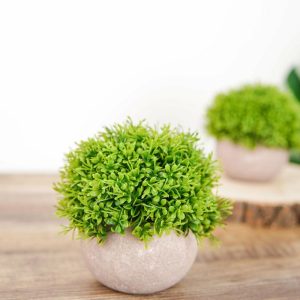 Plants & Pampas |   2 Plant Set 5″ Mini Potted Artificial Boxwood Topiary Faux Planter Collection Artificial Flowers & Greens Green