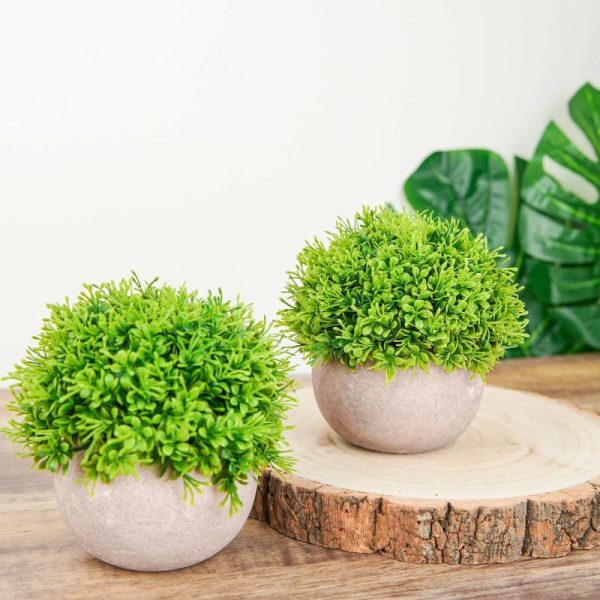 Plants & Pampas |   2 Plant Set 5″ Mini Potted Artificial Boxwood Topiary Faux Planter Collection Artificial Flowers & Greens Green