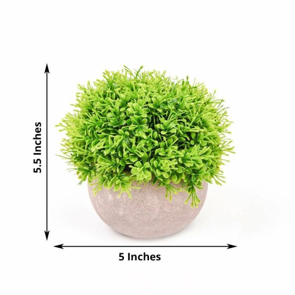 Plants & Pampas |   2 Plant Set 5″ Mini Potted Artificial Boxwood Topiary Faux Planter Collection Artificial Flowers & Greens Green