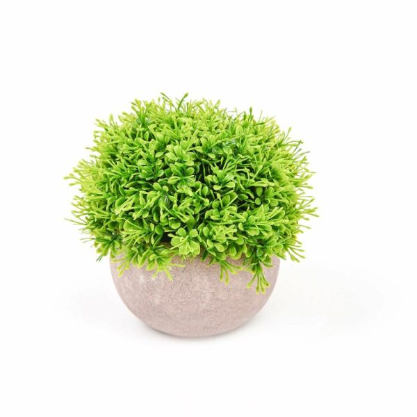 Plants & Pampas |   2 Plant Set 5″ Mini Potted Artificial Boxwood Topiary Faux Planter Collection Artificial Flowers & Greens Green