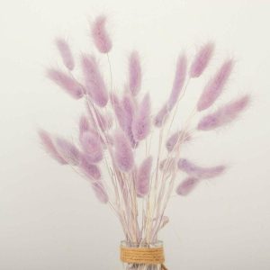 Plants & Pampas |   50 Pack 15″ Lavender Lilac Rabbit Tail Dried Pampas Grass Stem Bouquets, Boho Flower Arrangement Sprays Artificial Flowers & Greens Lavender