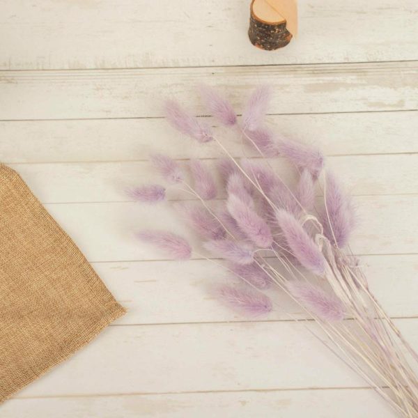 Plants & Pampas |   50 Pack 15″ Lavender Lilac Rabbit Tail Dried Pampas Grass Stem Bouquets, Boho Flower Arrangement Sprays Artificial Flowers & Greens Lavender