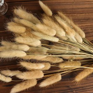 Plants & Pampas |   50 Pack 15″ Natural Rabbit Tail Dried Pampas Grass Stem Bouquets, Boho Flower Arrangement Sprays Artificial Flowers & Greens Natural