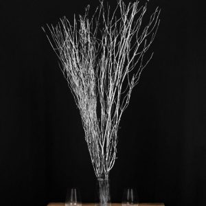 Plants & Pampas |   6 Pack Metallic Silver Extra Long Willow Tree Branches, 46″ Natural Dried Birch Twigs Sticks Vase Fillers Artificial Flowers & Greens Plants & Pampas