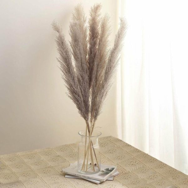 Plants & Pampas |   6 Stems 49″ Natural Tint Dried Natural Pampas Grass Plant Sprays Artificial Flowers & Greens Natural