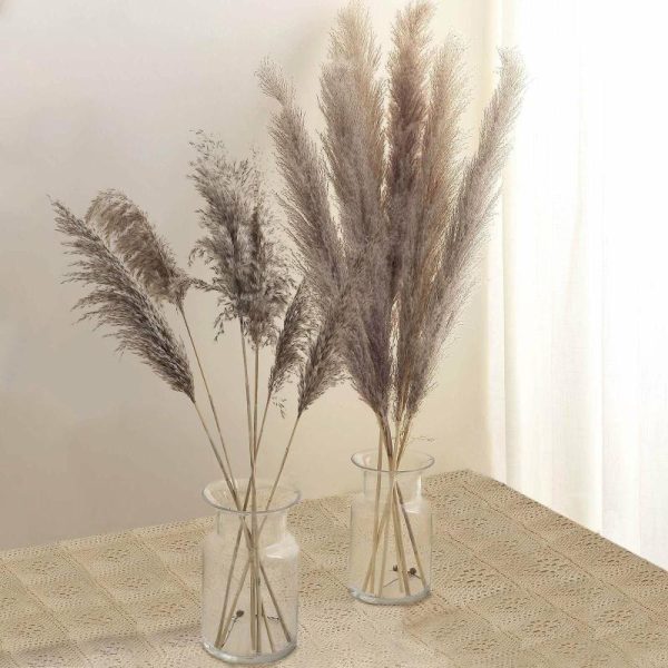 Plants & Pampas |   6 Stems 49″ Natural Tint Dried Natural Pampas Grass Plant Sprays Artificial Flowers & Greens Natural