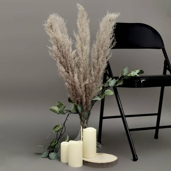 Plants & Pampas |   6 Stems 49″ Natural Tint Dried Natural Pampas Grass Plant Sprays Artificial Flowers & Greens Natural