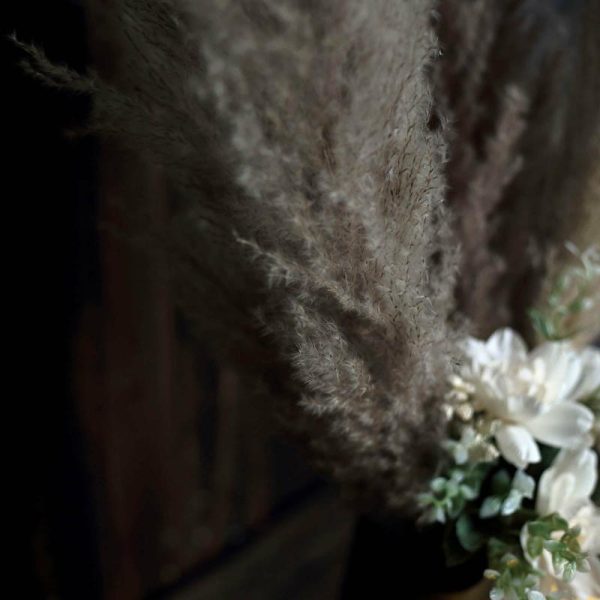 Plants & Pampas |   6 Stems 49″ Natural Tint Dried Natural Pampas Grass Plant Sprays Artificial Flowers & Greens Natural