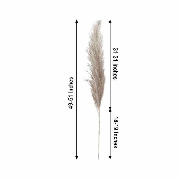 Plants & Pampas |   6 Stems 49″ Natural Tint Dried Natural Pampas Grass Plant Sprays Artificial Flowers & Greens Natural