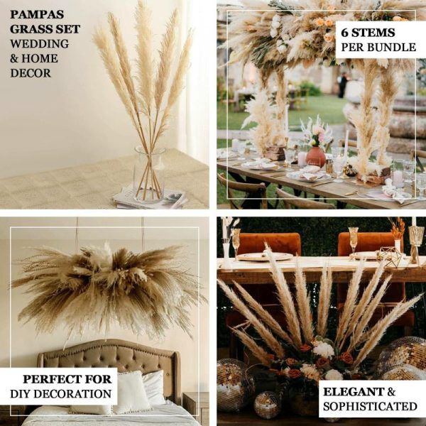 Plants & Pampas |   6 Stems 49″ Natural Tint Dried Natural Pampas Grass Plant Sprays Artificial Flowers & Greens Natural