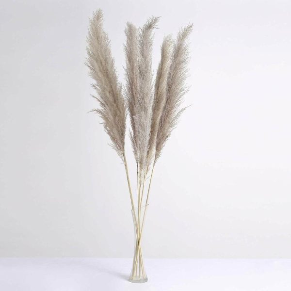 Plants & Pampas |   6 Stems 49″ Natural Tint Dried Natural Pampas Grass Plant Sprays Artificial Flowers & Greens Natural