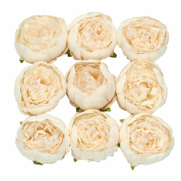 Table Scatters |   10 Pack 3″ Beige Artificial Silk DIY Craft Peony Flower Heads Party Balloons & Supplies Beige