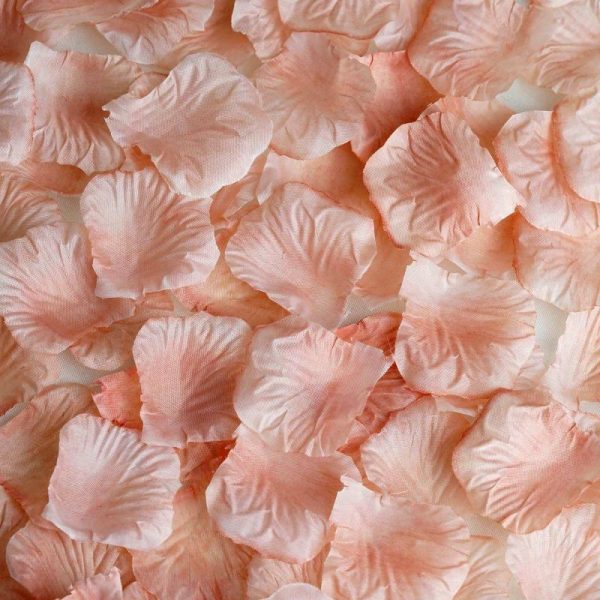 Wedding Accessories |   500 Pack Dusty Rose Silk Rose Petals Table Confetti or Floor Scatters Party Favors Dusty Rose