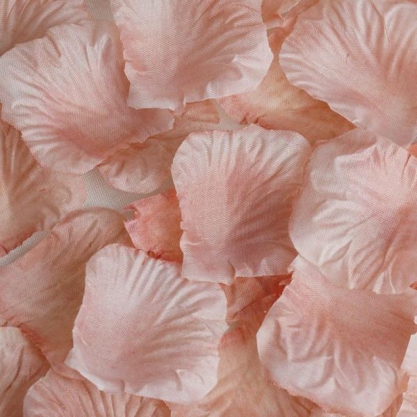 Wedding Accessories |   500 Pack Dusty Rose Silk Rose Petals Table Confetti or Floor Scatters Party Favors Dusty Rose