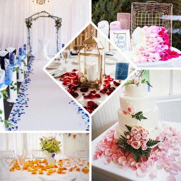 Wedding Accessories |   500 Pack Royal Blue Silk Rose Petals Table Confetti or Floor Scatters Party Favors Royal Blue